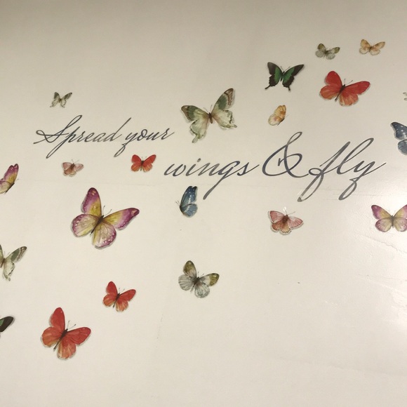 Meet your Posher, Sammy - Picture 5 of 7